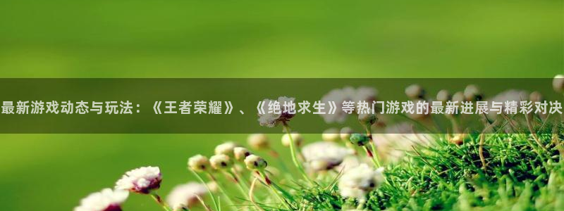 欧博娱乐app：最新游戏动态与玩法：《王者荣耀》、《绝地求生