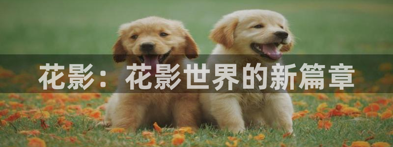欧博娱乐平台官网客服电话：花影：花影世界的新篇章