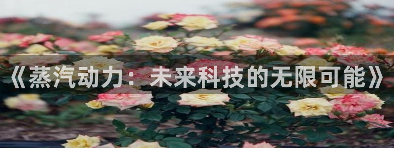 欧博娱乐测速：《蒸汽动力：未来科技的无限可能》