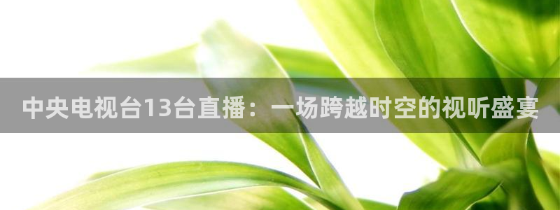 体育直播斗球：中央电视台13台直播：一场跨越时空的视听盛宴